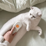Soft Steam Brush
