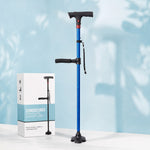 StandSecurer Cane